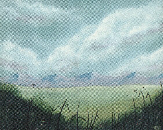 Plains